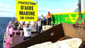Yamina Saheb, chercheuse : « La cause de la crise écologique a un nom, le capitalisme »