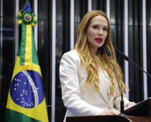 Understanding Brazil:The Executive–Legislative Nexus in Brazilian Foreign Policy