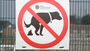 Trevor Laffan: Bigger dog fouling fines won’t wash - we need enforcement