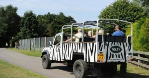 Zoo thrilled by arrival of 'adorable' baby animals