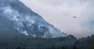 Public information films, wildfires and the case for a disposable barbecue ban