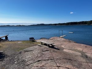 Sommer på øyene, og litt om fuglers fråtsing i alt vi legger fra oss