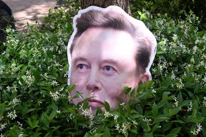A Troubling Glimpse into an AI Musktopia