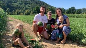 Mit Pferdemist und Hightech: Seit fünf Jahren wachsen Melonen am Hochrhein