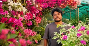 ‘I’m Mad About Bougainvillaea’: How a Bengal Gardener Built a Nursery With 400 Varieties