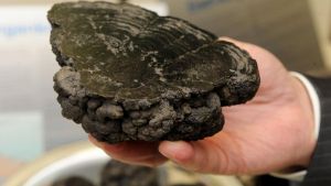 Tiefseebergbau: Internationale Behörde ringt um Regeln