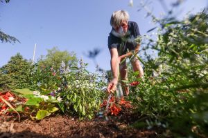 A Pau, comment les espaces verts affrontent une sécheresse inédite