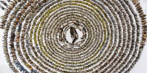 Bird‑safe glass must become the norm to prevent collisions with buildings