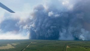 Pyrocumulonimbus en Gironde : on vous explique ce phénomène créé par le mégafeu