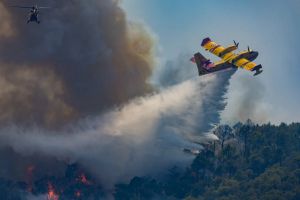 La France manque de Canadair : ces alertes qui n’ont pas été écoutées par le gouvernement