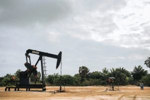 « Le pétrole se déverse dans les rivières où nous nous baignons » : la multinationale Perenco accusée de pollution en RDC, selon un rapport