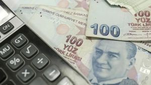 Kamu borçlarında mal bildirimine bağlı yaptırımlar