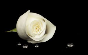 Vale Charles Garrard (Garry) Woodard