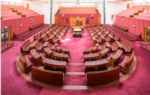 The Senate could leave Labor managing, not governing
