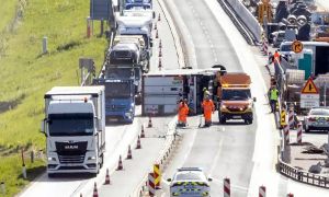 Zaradi svinjskih polovic na primorski avtocesti so izrekli štiri opozorila pred izgubo službe