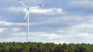 Windkraft in Wartehaltung: Wie es mit dem Projekt im Neuhäuslewald weitergeht