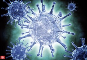 Rastrear, tratar, eliminar: o caminho para vencer as hepatites virais