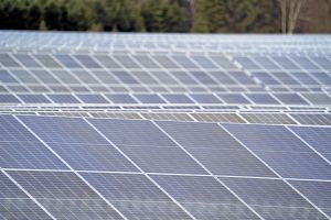 Tidligere lektor: - Energiparker skal nu trumfes igennem!
