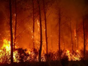 BHL – Le feu