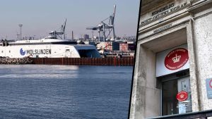 Trykkede speederen i bund for at nå færgen: Nu skal kvinde bag tremmer for vanvi...
