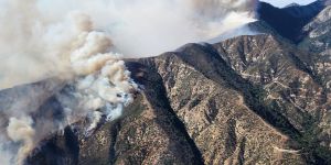 From Los Angeles to Jasper: how we can better prepare for wildfires