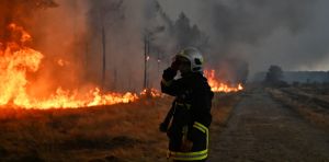 Donald Trump blames Canada for wildfire smoke — but global warming is loading the wildfire dice