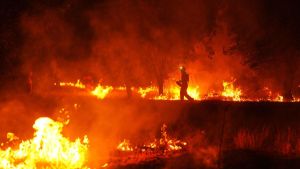 Mega-Waldbrände in Frankreich und Spanien: Auch Baden-Württemberg muss sich vorbereiten