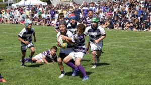Classifica delle province sportive, Treviso scende: ecco perché