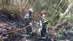 Incendio boschivo a Vittorio Veneto: fiamme vicino all’A27