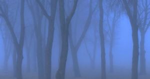 3 Ways to Deepen Your Connection With Nature