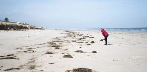 Media coverage of environmental disasters doesn’t come with a content warning. It’s time for change
