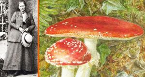 ‘Peter Rabbit’ author Beatrix Potter’s surprising second job: Groundbreaking mushroom scientist