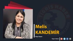 Yatağını arayan nehir