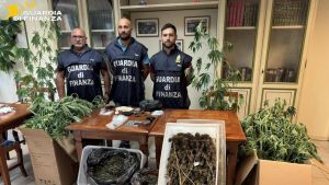 Marijuana nella serra dell’azienda agricola. Due arresti della Finanza