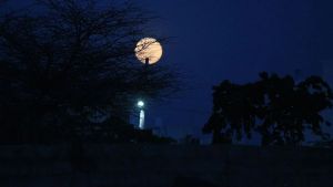 Vyasa Purnima: Honouring The sage Who Preserved Vedic Wisdom