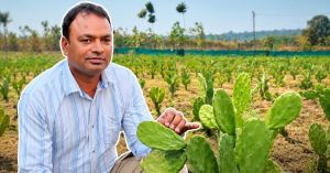 After Fire Destroyed His Orchard, This Jharkhand Farmer Grew a Rs 40 Lakh Cactus Farm