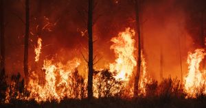 Climat, incendies : au «Figaro», le déni et l’idéologie jusqu’à l’absurde