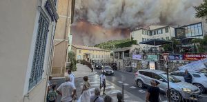 ‘The fire has such power’: why the wildfires gripping France and Spain are off the charts