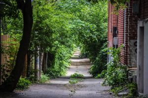 Libre opinion | Ma ruelle est vide