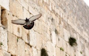 The Mezuzah Never Forgets Modern Fear and the Call to Come Home