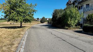 Straßennetz: Vergabe - Bestands- und Zustandsdatenerfassung des kommunalen Straßennetzes