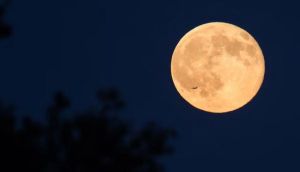 Full Moon July 2026 peaks today: When and how to watch