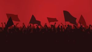 Sosyalist her şeye karışır
