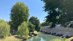 Treviso candidata patrimonio Unesco, il sindaco: «Getteremo il cuore oltre l’ostacolo»