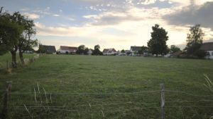 Platz für 19 Häuser: Mundelfingen plant ein neues Baugebiet