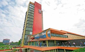 ¿Y dentro de la UNAM, habrá responsables?