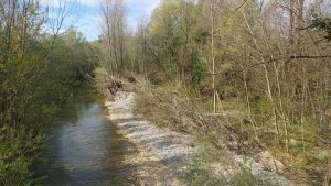 Fiume Judrio, partono i lavori di pulizia e messa in sicurezza: stanziati 1,5 milioni dalla Regione