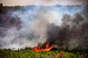 Dok Francuska gori, krajnja desnica vidi priliku