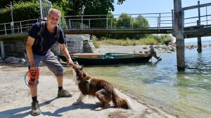 Aufregung unter Hundebesitzern: Sind Blaualgen auch am Konstanzer Bodensee-Ufer ein Problem?