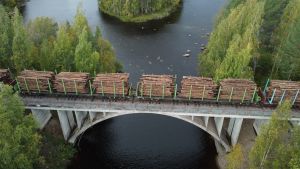 Politiikka | Lukijalta: Metsätalouden kannattavuuden pitää perustua puun hintaan, ei verohelpotuksiin
